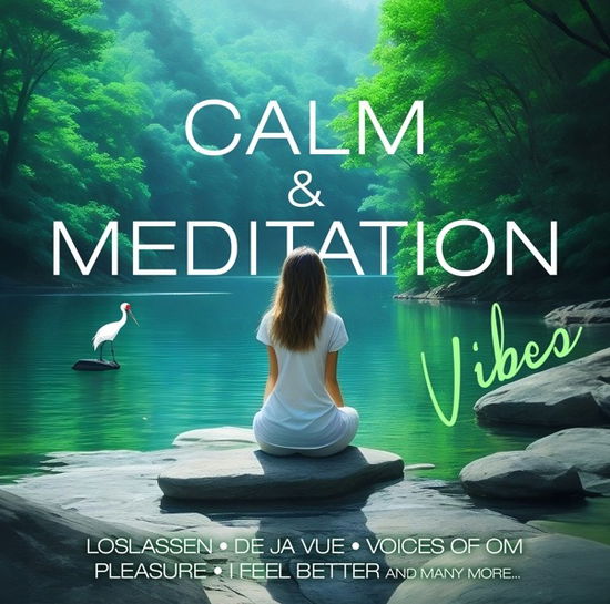 Cover for Calm &amp; Meditation Vibes (CD) (2023)