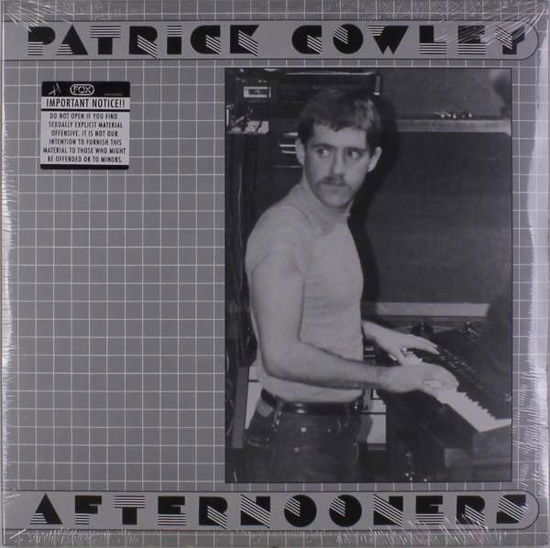 Afternooners - Patrick Cowley - Music - DARK ENTRIES - 0744271373004 - October 20, 2017