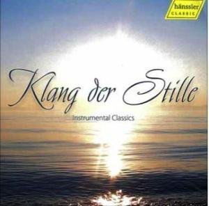 Klang Der Stille / Various - Klang Der Stille / Various - Musik - HANSSLER - 4010276020004 - 13 november 2007