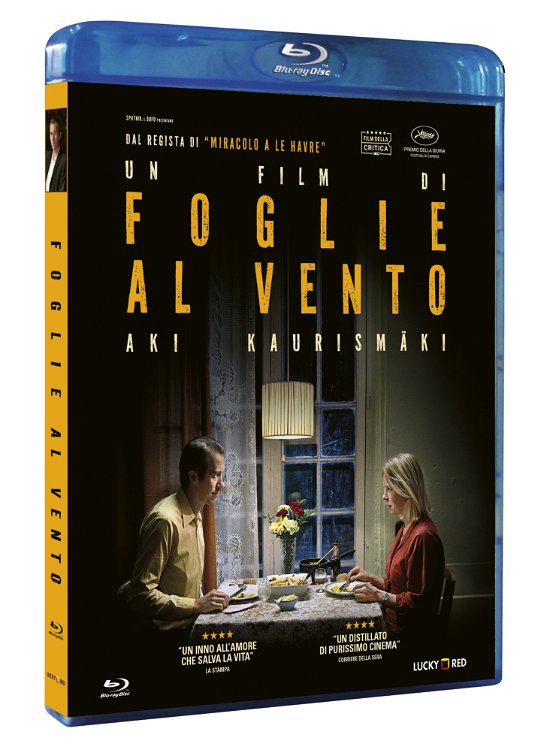 Cover for Foglie Al Vento (Blu-ray) (2024)