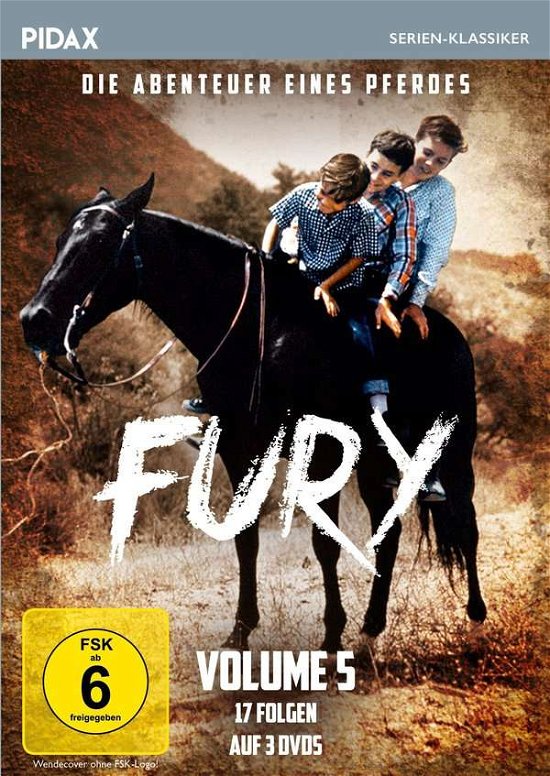 Cover for Fury - Die Abenteuer Eines Pferdes - Vol 5 (DVD) (2020)