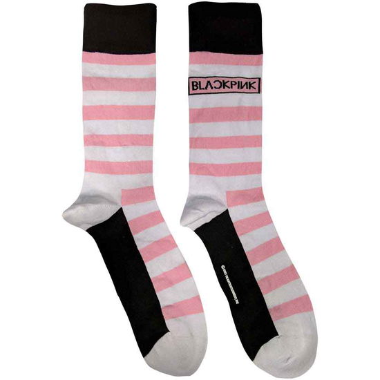 Cover for BlackPink · BlackPink Unisex Ankle Socks: Stripes &amp; Logo (White) (UK Size 7 - 11) (CLOTHES) [size M] (2022)