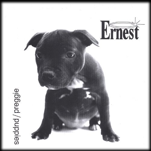 Cover for Ernest · Aa Single Puppies / Preggie (CD) (2006)