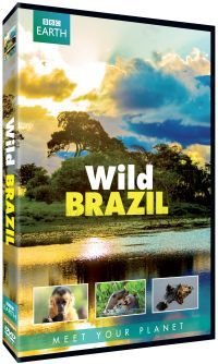 Cover for Documentary / Bbc Earth · Wild Brazil (DVD) (2014)
