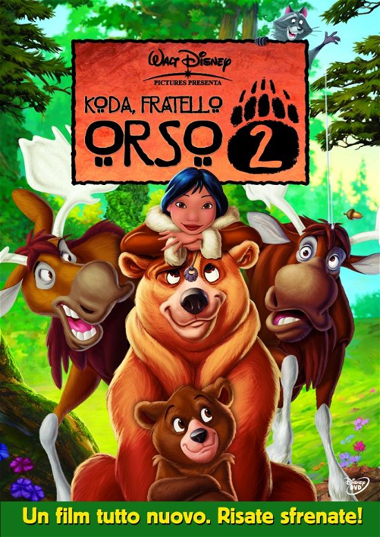 Cover for Fratello Orso 2 Koda · Koda, Fratello Orso 2 (DVD) (2011)