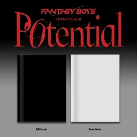 Potential - Fantasy Boys - Muziek - PHUNKY STUDIO - 8804775368004 - 8 december 2023