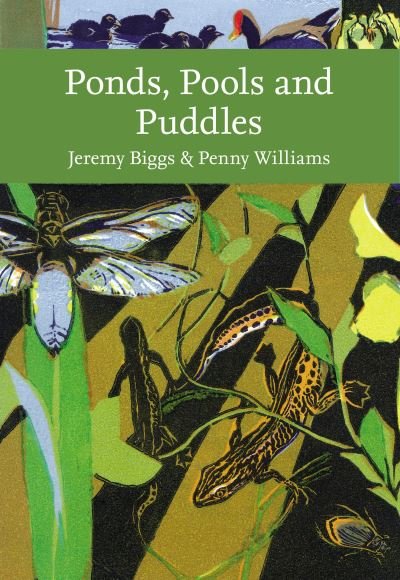 Cover for Jeremy Biggs · Ponds, Pools and Puddles - Collins New Naturalist Library (Paperback Bog) (2024)