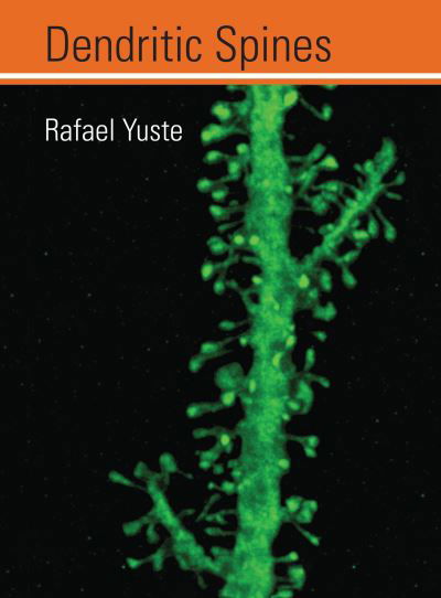 Cover for Rafael Yuste · Dendritic Spines (Book) (2023)