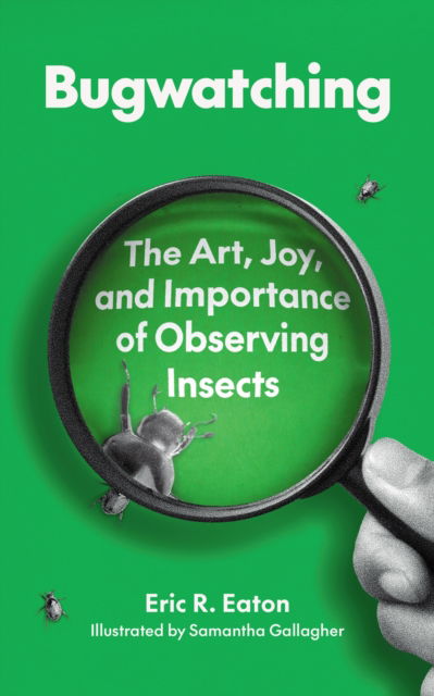 Cover for Eric R. Eaton · Bugwatching: The Art, Joy, and Importance of Observing Insects (Pocketbok) (2025)