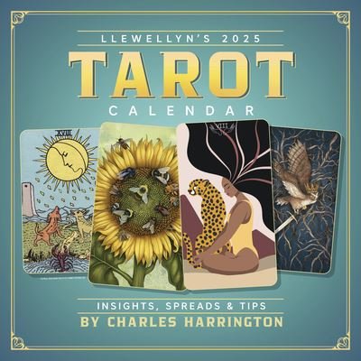 Cover for Llewellyn · Llewellyn's 2025 Tarot Calendar: Insights, Spreads &amp; Tips (Kalender) (2024)