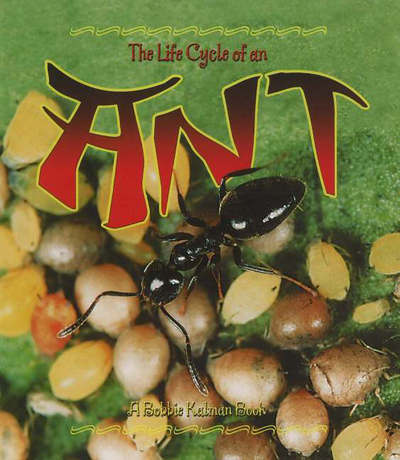 Cover for Hadley Dyer · The Life Cycle of the Ant (Paperback Book) (2005)