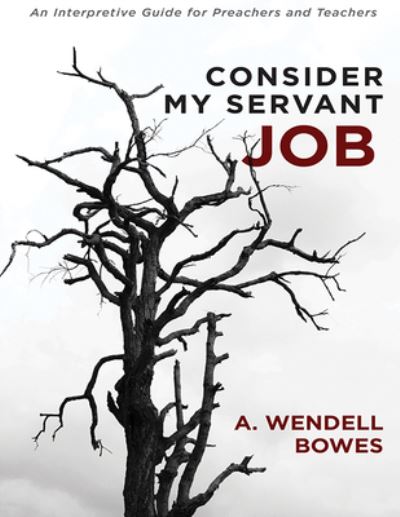 Cover for Bowes A. Wendell Bowes · Consider My Servant Job: An Interpretive Guide for Preachers and Teachers (Paperback Book) (2021)