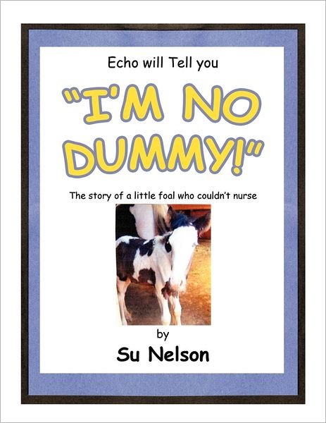 Cover for Su Nelson · I'm No Dummy! (Taschenbuch) (2011)