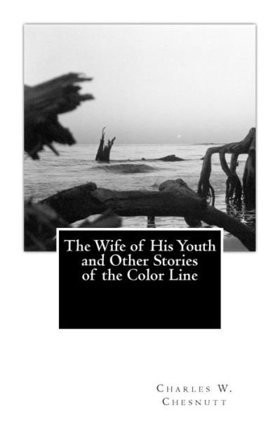 Cover for Charles W. Chesnutt · The Wife of His Youth and Other Stories of the Color Line (Taschenbuch) (2013)