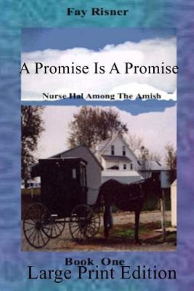 Cover for Fay Risner · A Promise Is A Promise (Paperback Book) (2016)