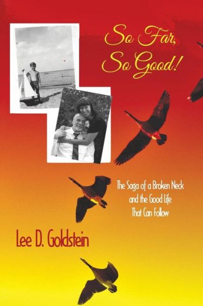 Cover for Lee D Goldstein · So Far, So Good: the Saga of a Broken Neck and the Good Life That Can Follow (Taschenbuch) (2015)