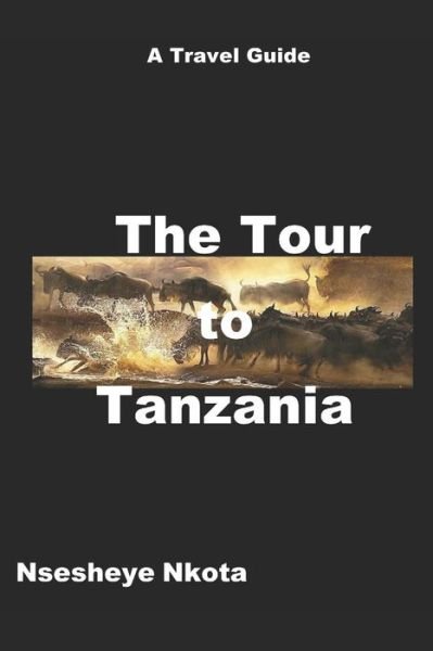 Cover for Nsesheye Nkota · The Tour to Tanzania (Paperback Book) (2018)