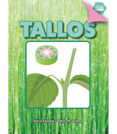 Tallos - Alicia Klepeis - Książki - Rourke Educational Media - 9781731655004 - 1 marca 2023