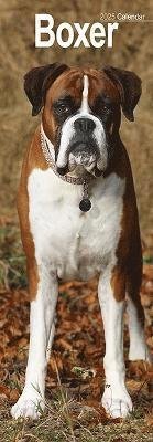 Boxer Slim Calendar 2025 Dog Breed Slimline Calendar - 12 Month (Kalender) (2024)