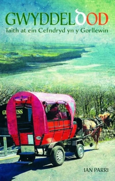 Cover for Gwasg Carreg Gwalch · Gwyddeldod: Taith at ein Cefndryd yn y Gorllewin (Paperback Bog) (2023)