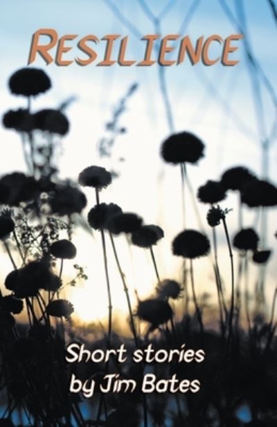 Resilience - Jim Bates - Books - Bridge House - 9781914199004 - February 15, 2021