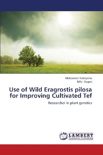 Cover for Kifle Dagne · Use of Wild Eragrostis Pilosa for Improving Cultivated Tef: Researcher in Plant Genetics (Pocketbok) (2013)