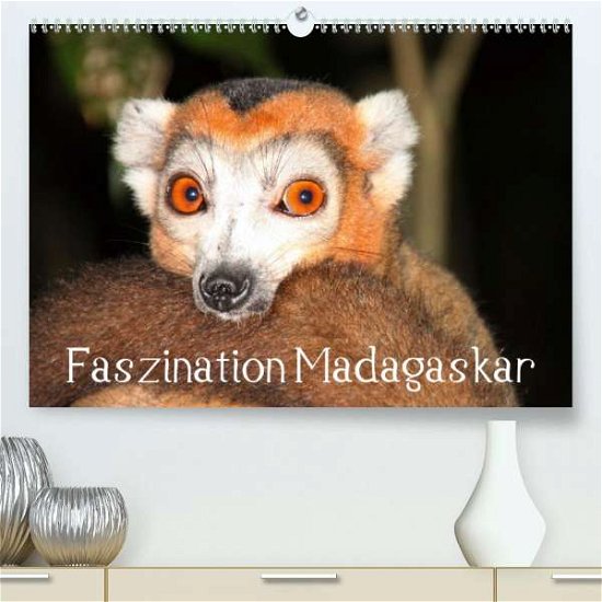 Cover for Raab · Faszination Madagaskar (Premium-Ka (Bok)