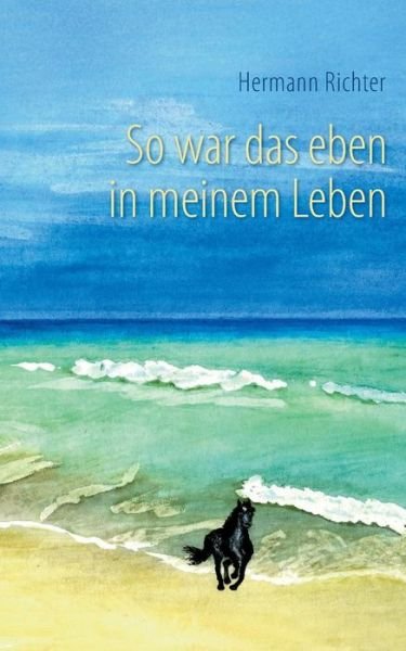 Hermann Richter · So War Das Eben in Meinem Leben (Paperback Bog) (2015)