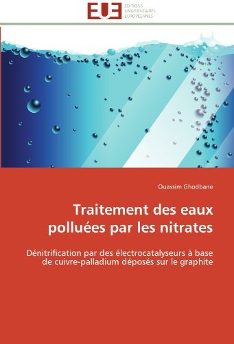 Cover for Ouassim Ghodbane · Traitement Des Eaux Polluées Par Les Nitrates: Dénitrification Par Des Électrocatalyseurs À Base De Cuivre-palladium Déposés Sur Le Graphite (Pocketbok) [French edition] (2018)
