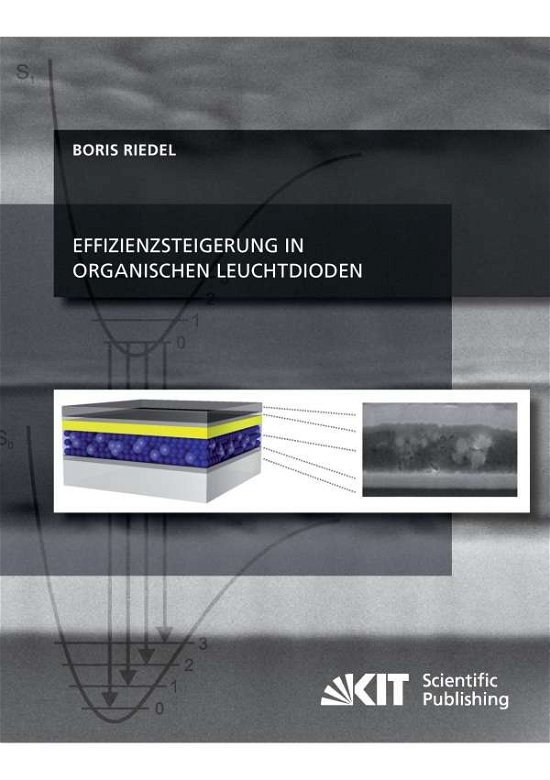 Cover for Riedel · Effizienzsteigerung in organisch (Buch) (2014)