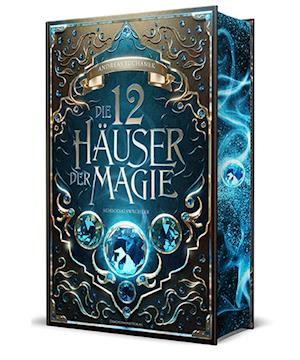 Cover for Andreas Suchanek · Die 12 Häuser der Magie - Schicksalswächter (Book) (2024)