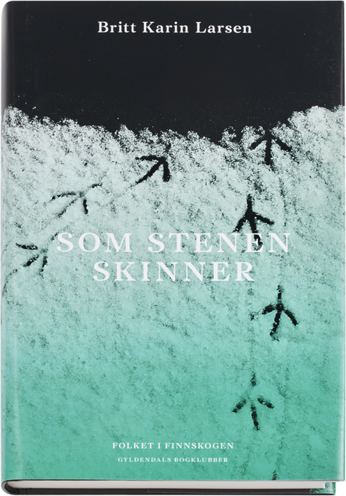 Cover for Britt Karin Larsen · Som stenen skinner (Gebundesens Buch) [1. Ausgabe] (2017)