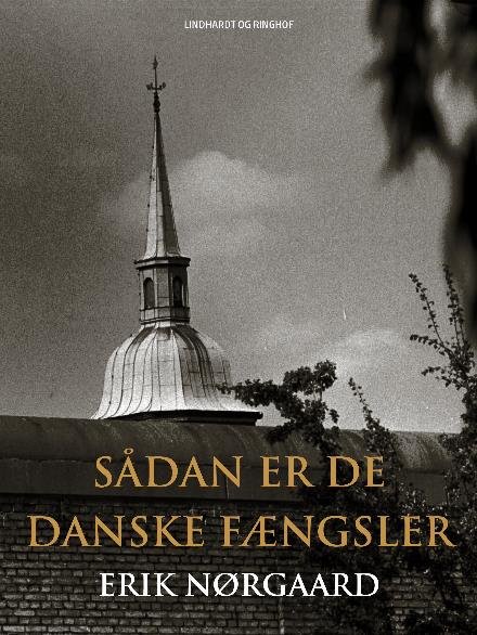 Cover for Erik Nørgaard · Sådan er de danske fængsler (Sewn Spine Book) [2º edição] (2017)