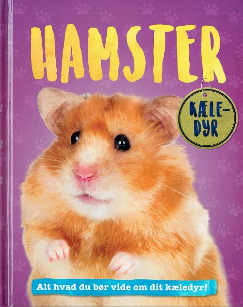 Cover for Pat Jacobs · Kæledyr: Hamster (Innbunden bok) [1. utgave] (2017)