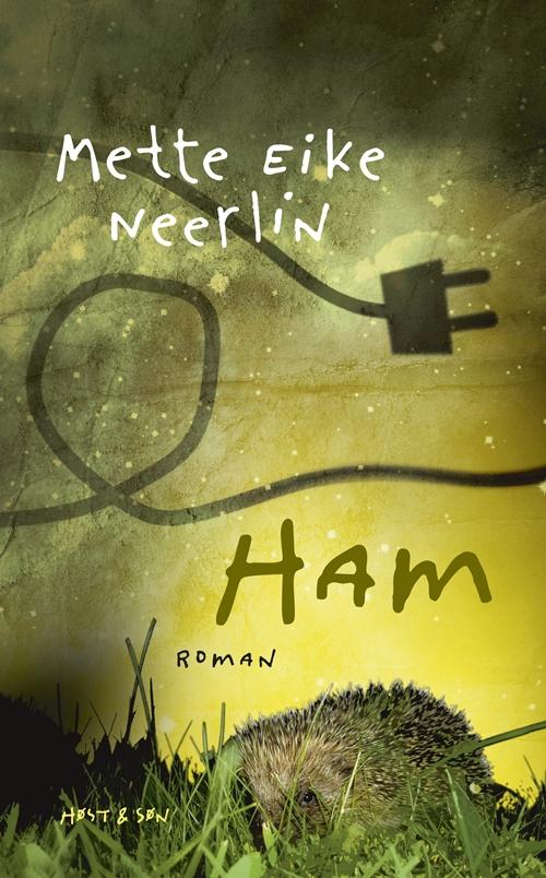 Cover for Mette Eike Nielsen · Ham (Sewn Spine Book) [1. Painos] (2014)