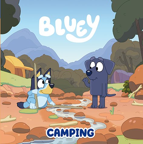Camping (Indbundet Bog) (2024)