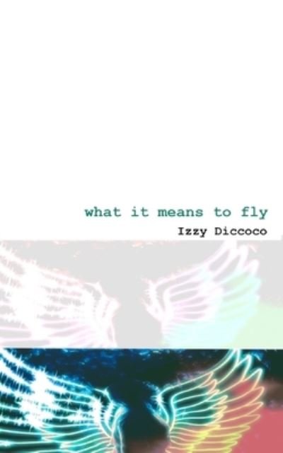 Cover for Izzy Diccoco · What It Means To Fly (Paperback Bog) (2023)