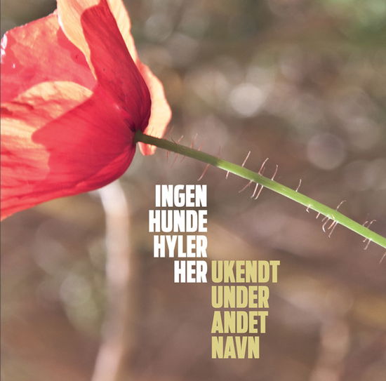 Ingen hunde hyler her - Ukendt Under Andet Navn - Music - Ukendt Under Andet Navn - 9950993480004 - 2016