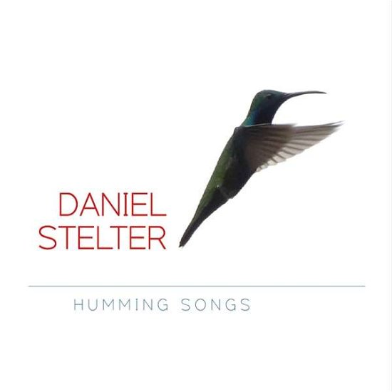 Humming Songs - Daniel Stelter - Musiikki - DMG - 4260022812005 - torstai 12. lokakuuta 2017