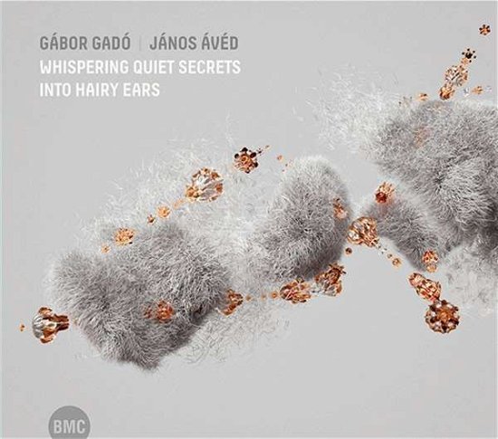 Cover for Gábor Gadó &amp; János Ávéd · Whispering Quiet Secrets into Hairy Ears (CD) (2022)
