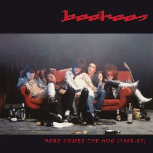 Here Comes The Hoo - Boohoos - Musik - SPITTLE - 8033706215005 - 28. November 2013