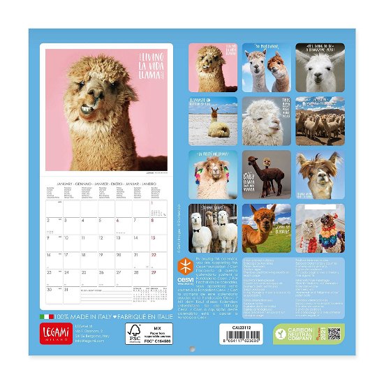 Legami · No Probblama (Llama / Alpaca) Wall Calendar 2023 (Kalender) (2022)