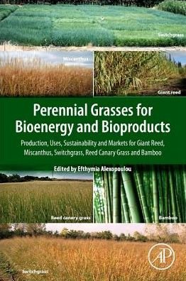 Cover for Efthymia Alexopoulou · Perennial Grasses for Bioenergy and Bioproducts: Production, Uses, Sustainability and Markets for Giant Reed, Miscanthus, Switchgrass, Reed Canary Grass and Bamboo (Paperback Book) (2018)