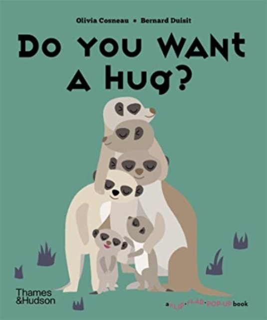 Cover for Olivia Cosneau · Do You Want a Hug? - A Flip Flap Pop Up Book (Hardcover Book) (2022)