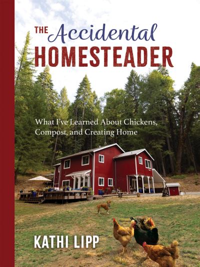 Cover for Kathi Lipp · The Accidental Homesteader: What I’ve Learned About Chickens, Compost, and Creating Home (Paperback Book) (2023)