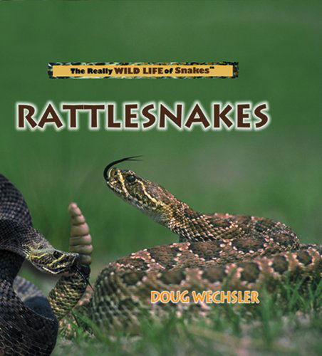 Cover for Doug Wechsler · Rattlesnakes (The Really Wild Life of Snakes) (Hardcover Book) (2000)