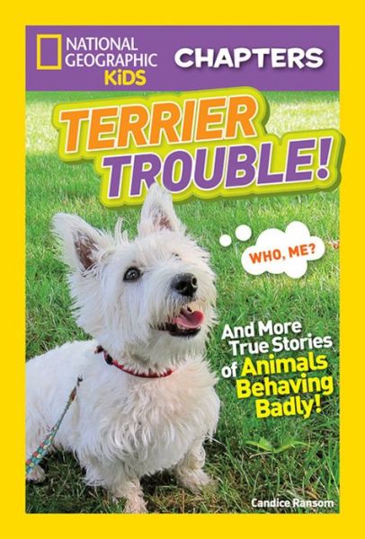 Cover for Candice Ransom · National Geographic Kids Chapters: Terrier Trouble! - NGK Chapters (Hardcover Book) (2017)