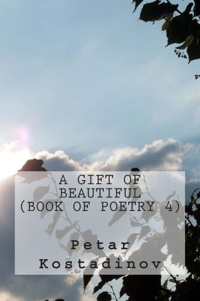 Cover for Petar Kostadinov · A Gift Of Beautiful (Paperback Book) (2011)