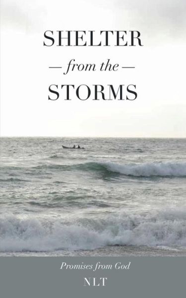 Shelter from the Storms; Promises from God - Linda Jones - Livres - Xulon Press - 9781498430005 - 20 mars 2015