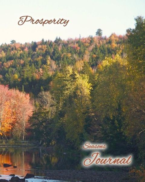 Cover for Mrs Theresa Goodine · Prosperity (Paperback Book) (2014)